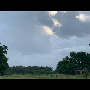 Meet your Posher, Pat